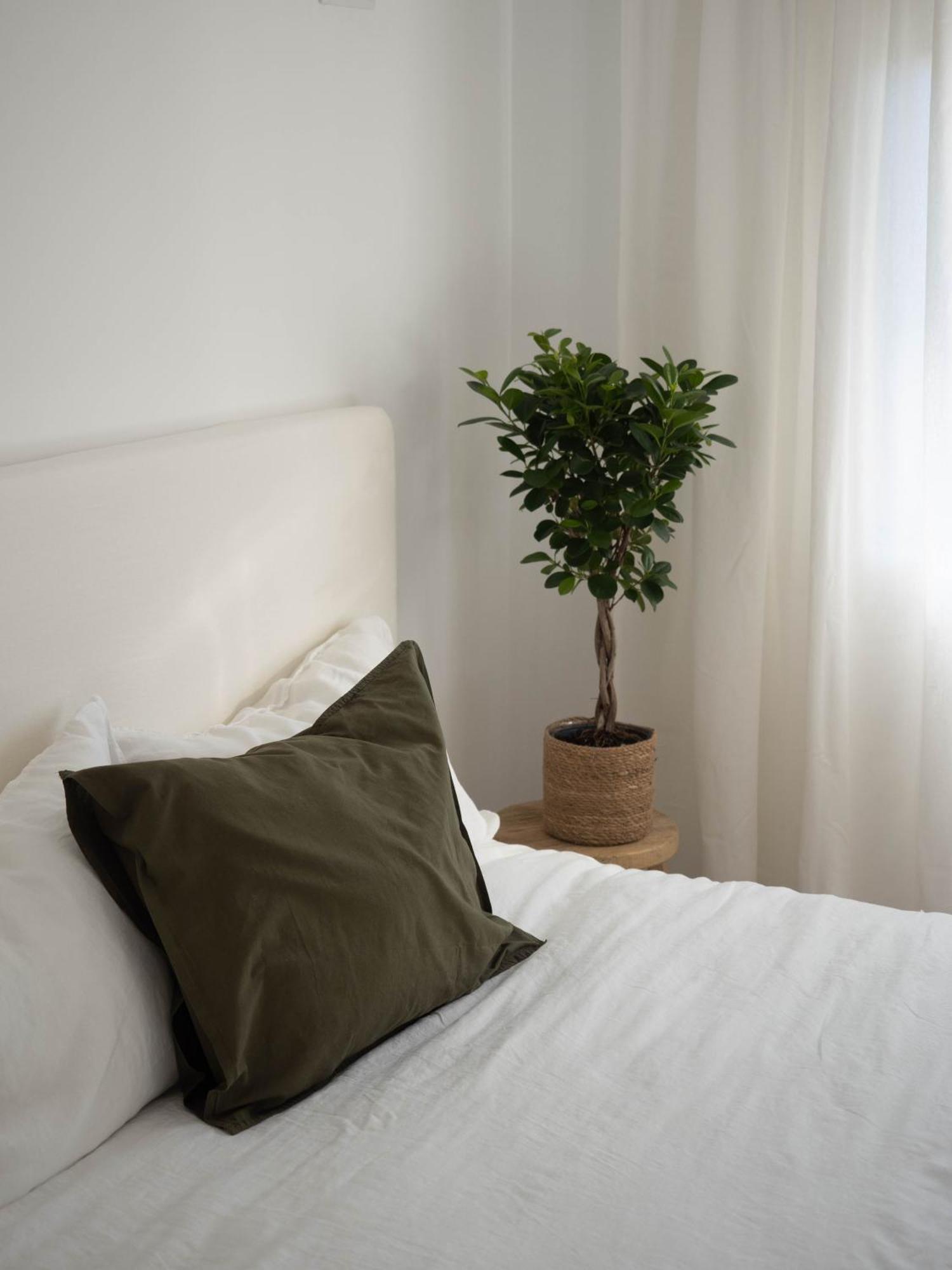 Luxury Apartment In Valencia City Center ภายนอก รูปภาพ